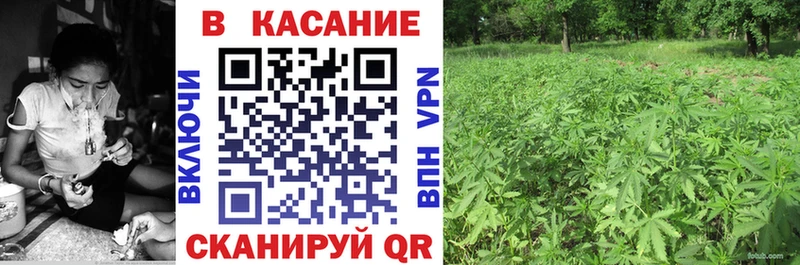 Где найти наркотики Верхний Тагил Кокаин  Меф мяу мяу  ГАШИШ  A PVP  Каннабис 
