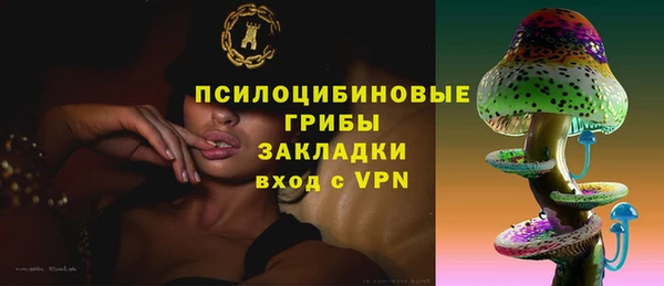 тгк Бронницы