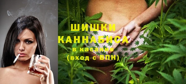 тгк Бронницы