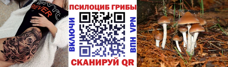 Галлюциногенные грибы Cubensis  Верхний Тагил 